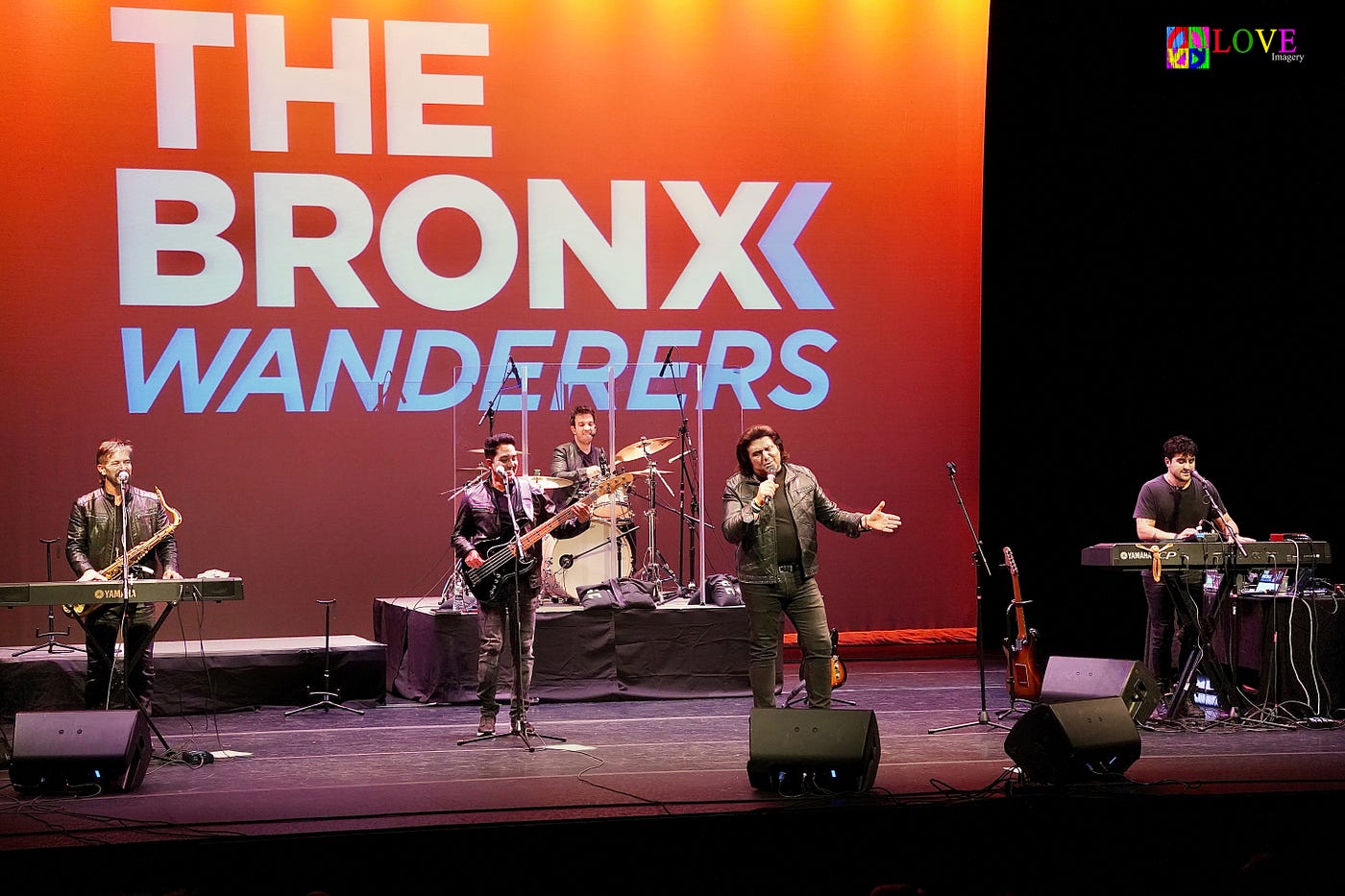 Crowd at a The Bronx Wanderers show
